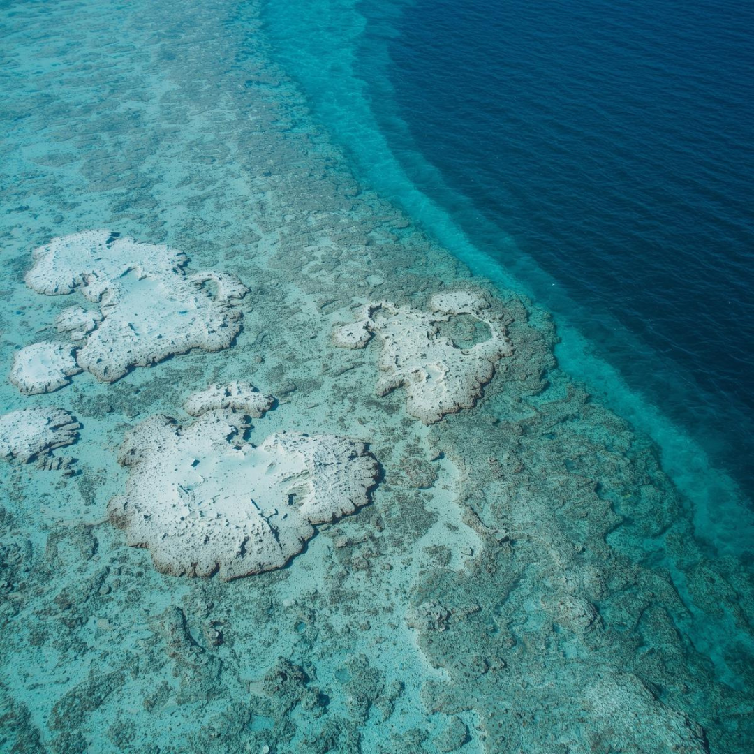 Global bleaching event