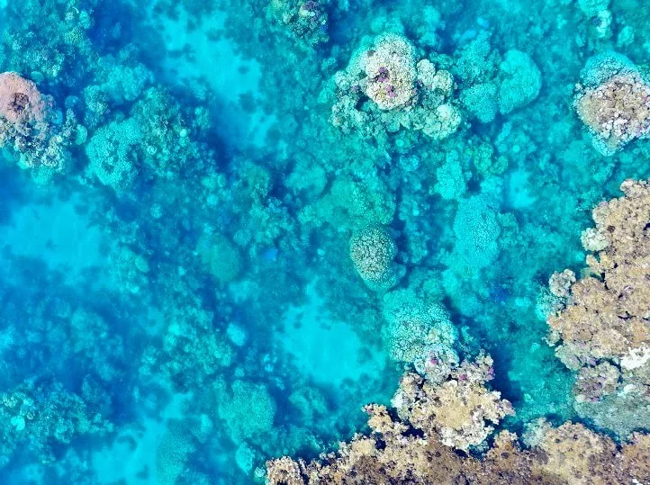 VICE Red Sea documentary