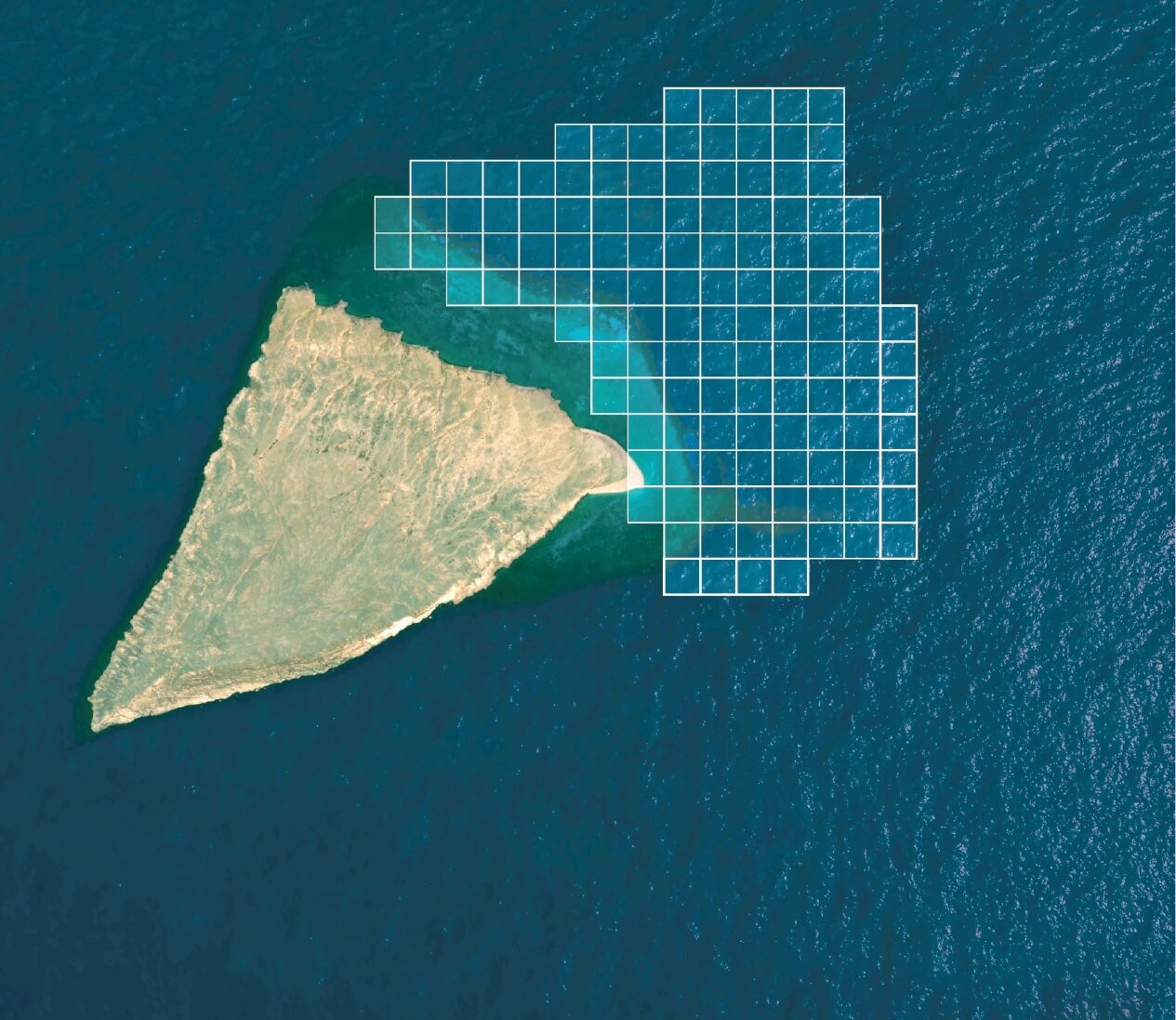 KAUST Reefscape Initiative