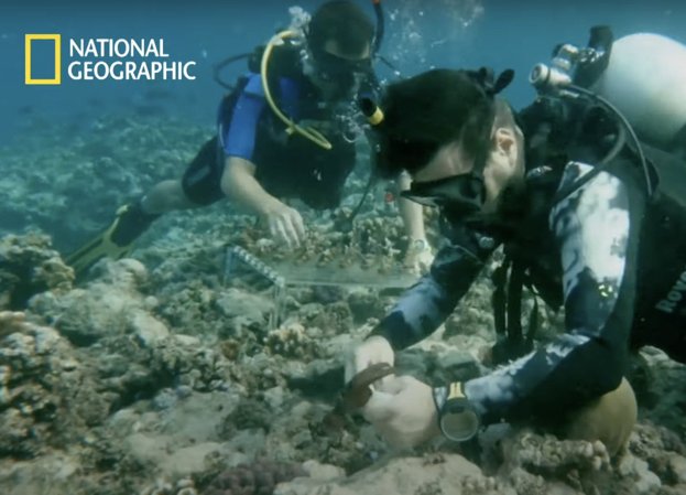 National Geographic Ocean Revive