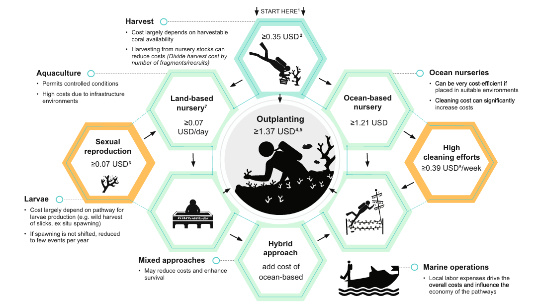 Reef restoration technology